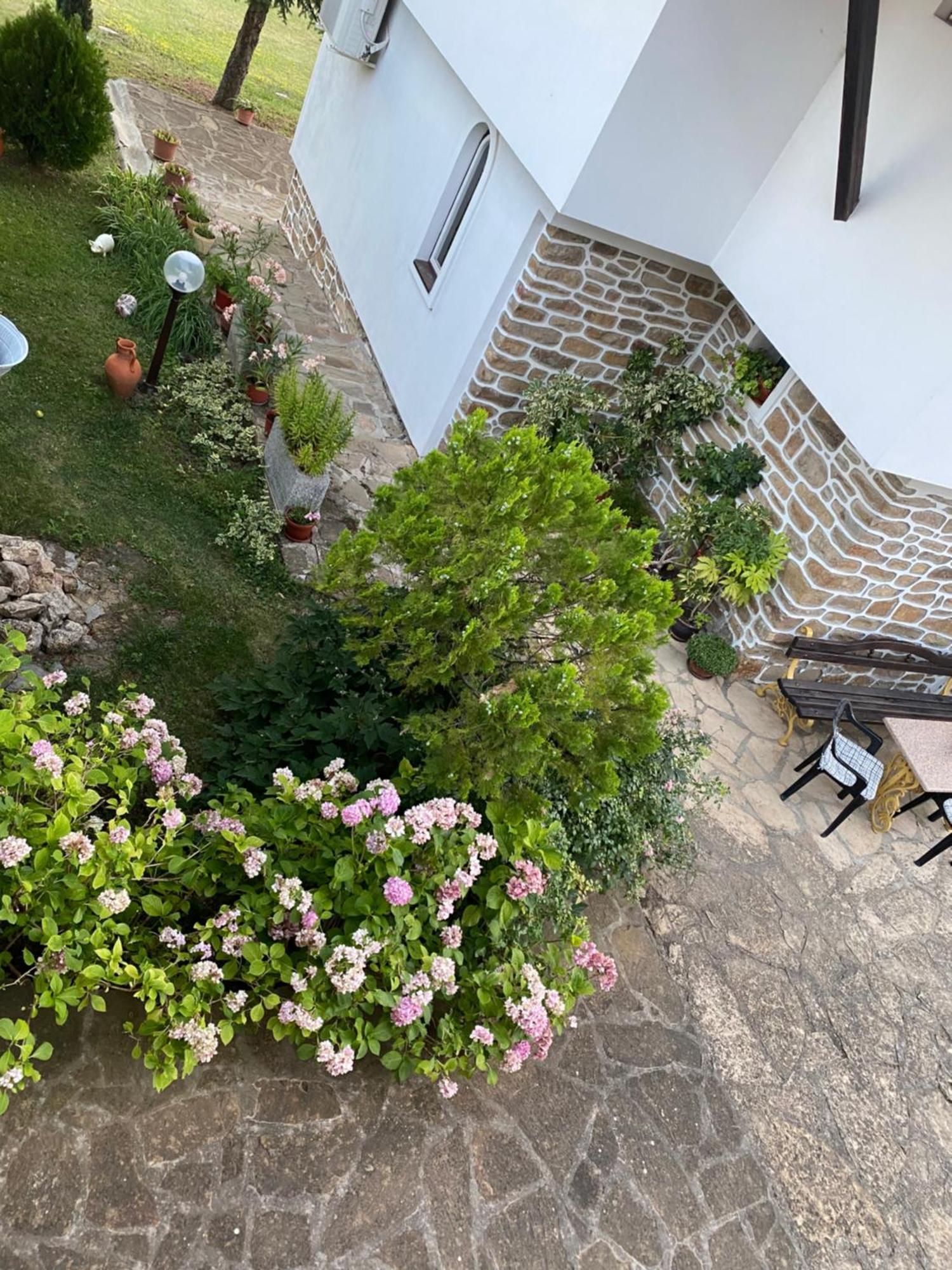 Guest House Debar Арбанаси Экстерьер фото